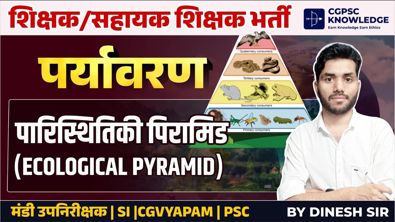 पारिस्थितिक पिरामिड(ECOLOGICAL PYRAMID)|| ENVIRONMENT || TEACHER BHARTI ||MANDI SI #mandi #cgvyapam