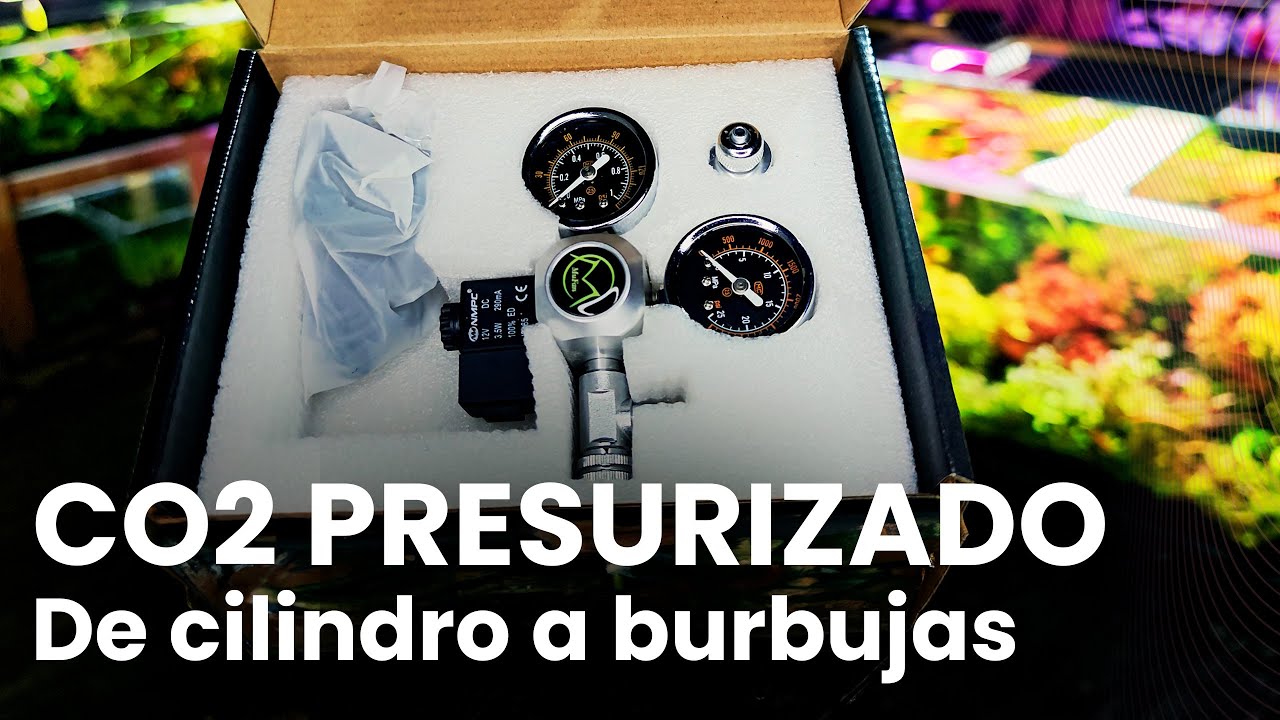 ¡Así se arma un sistema de CO2 como un PRO en minutos!