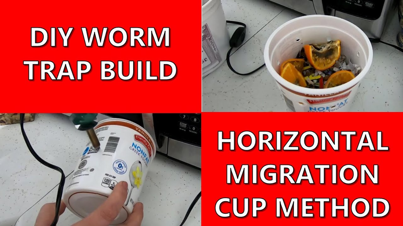 BUILDING A DIY WORM TRAP FOR HORIZONTAL MIGRATION