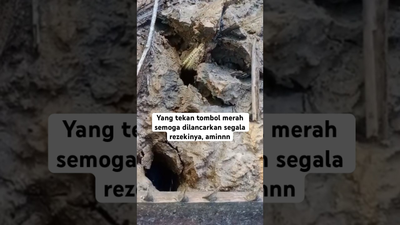 Mancing belut dapat ular #shorts