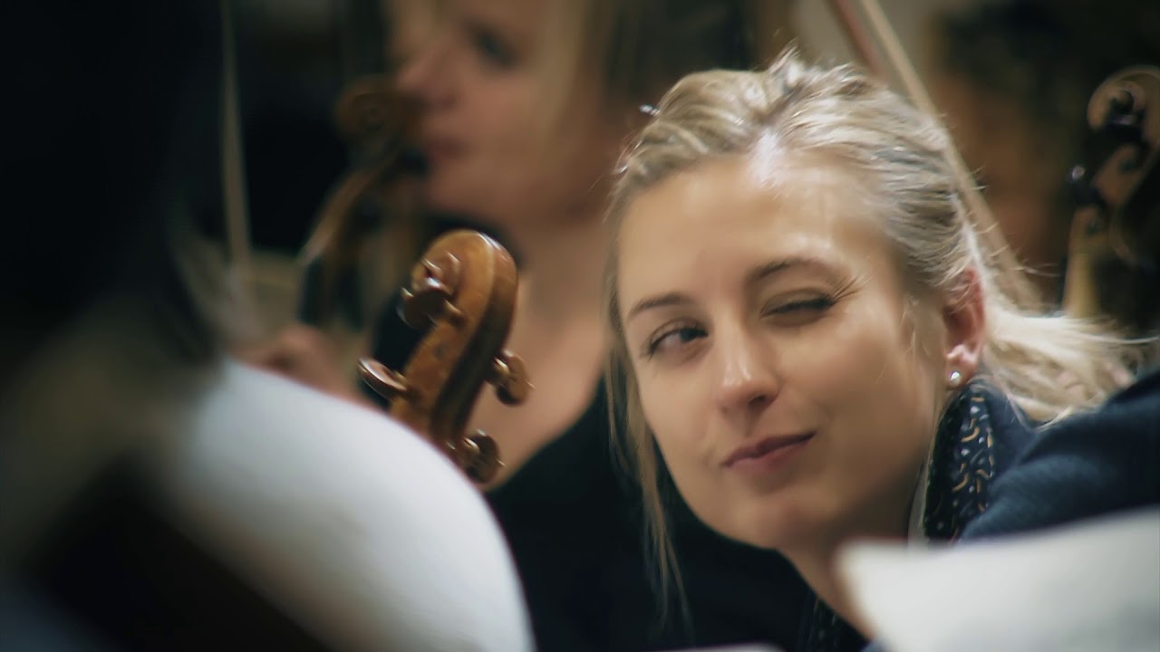 Das Orchester Camerata Cantabile stellt sich vor.....