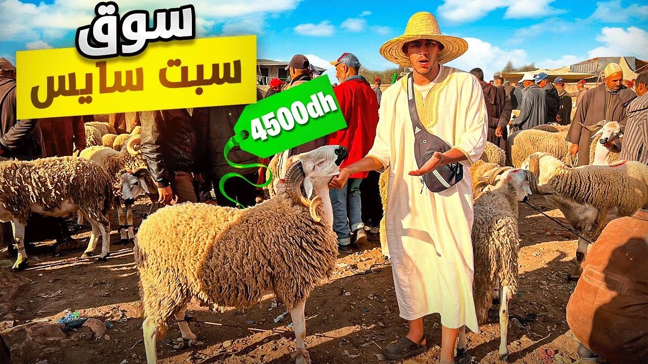 اليوم من سوق السبت سايس إقليم الجديدة 🇲🇦مع أثمنة حولي عيد الأضحى 🐑 بتاريخ 18/05/2024 الخير موجود
