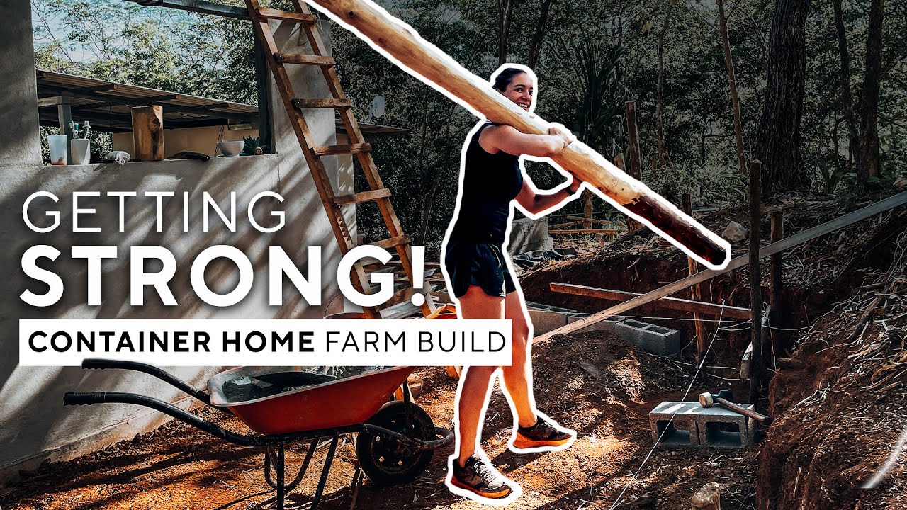 CAN we BUILD this on a BUDGET? Sustainable Farm Life in the Jungle - Container BUILD