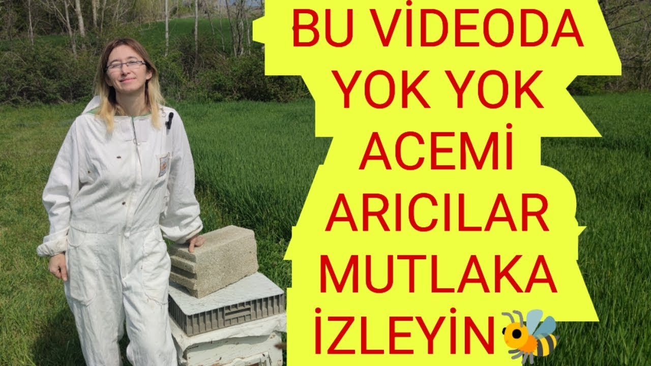 BU VİDEODA YOK YOK 🐝ARI BÖLME 🐝 BESLEME 🐝 PETEK VERME🐝KAT ATMA🐝 MAYIS BAKIMI 🐝 MUTLAKA İZLEYİN 🐝#arı