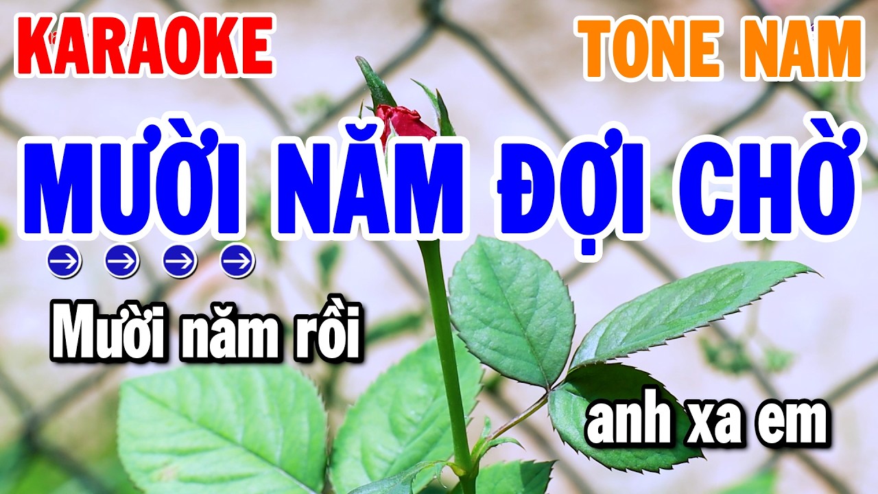 Mười Năm Đợi Chờ Karaoke Tone Nam Beat Chuẩn Mới | Thanh Hải Organ