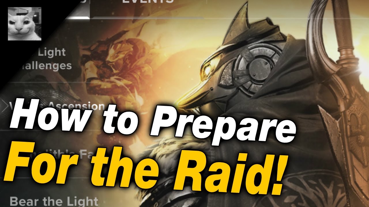Everything You Should Take Into the Day 1 Raid in Destiny Rising