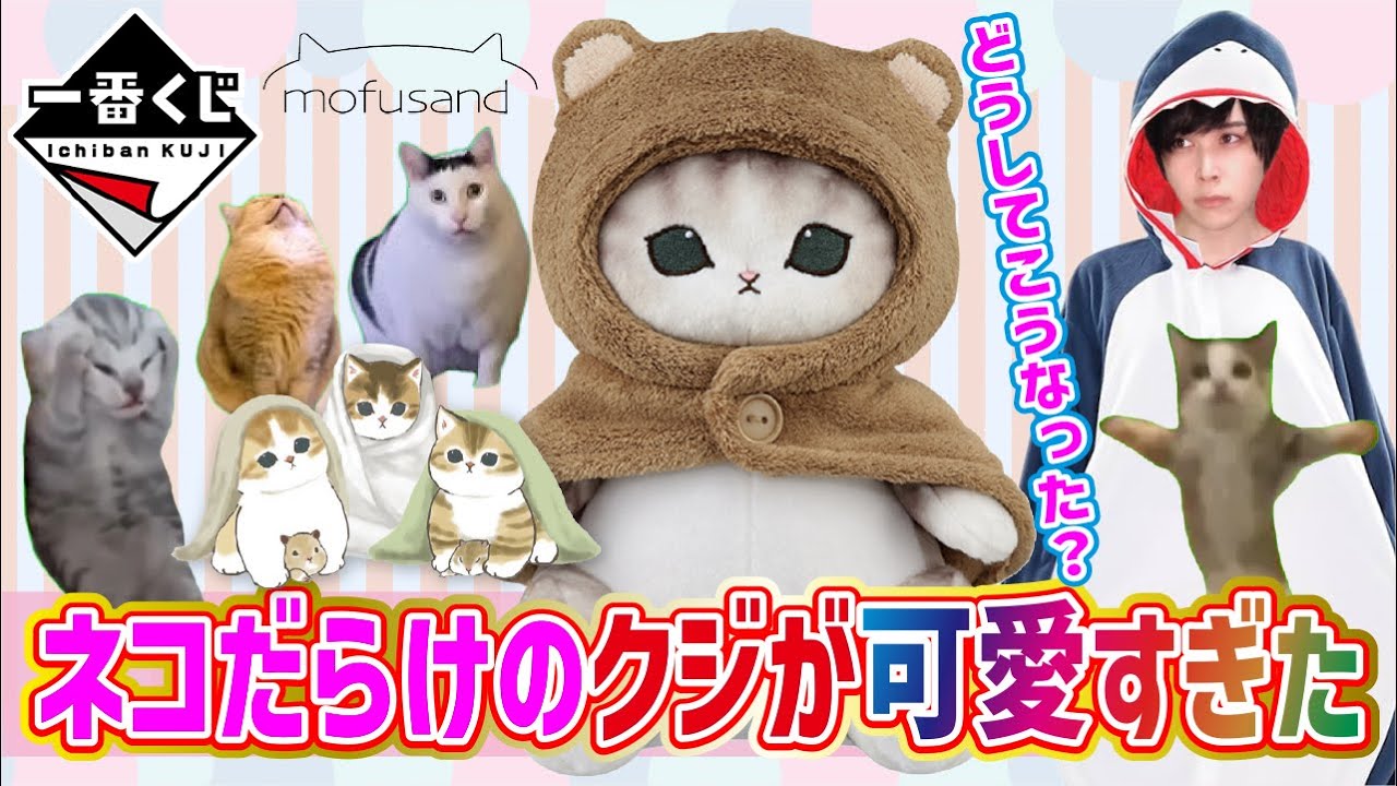 【みんなゴメン！】可愛すぎて自分を抑えることができませんでした【一番くじ】mofusand、サンリオ当たりくじ