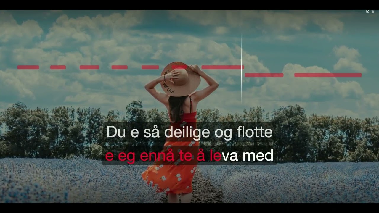Bare Så Du Vett Det - Stavangerkameratene - Karaoke