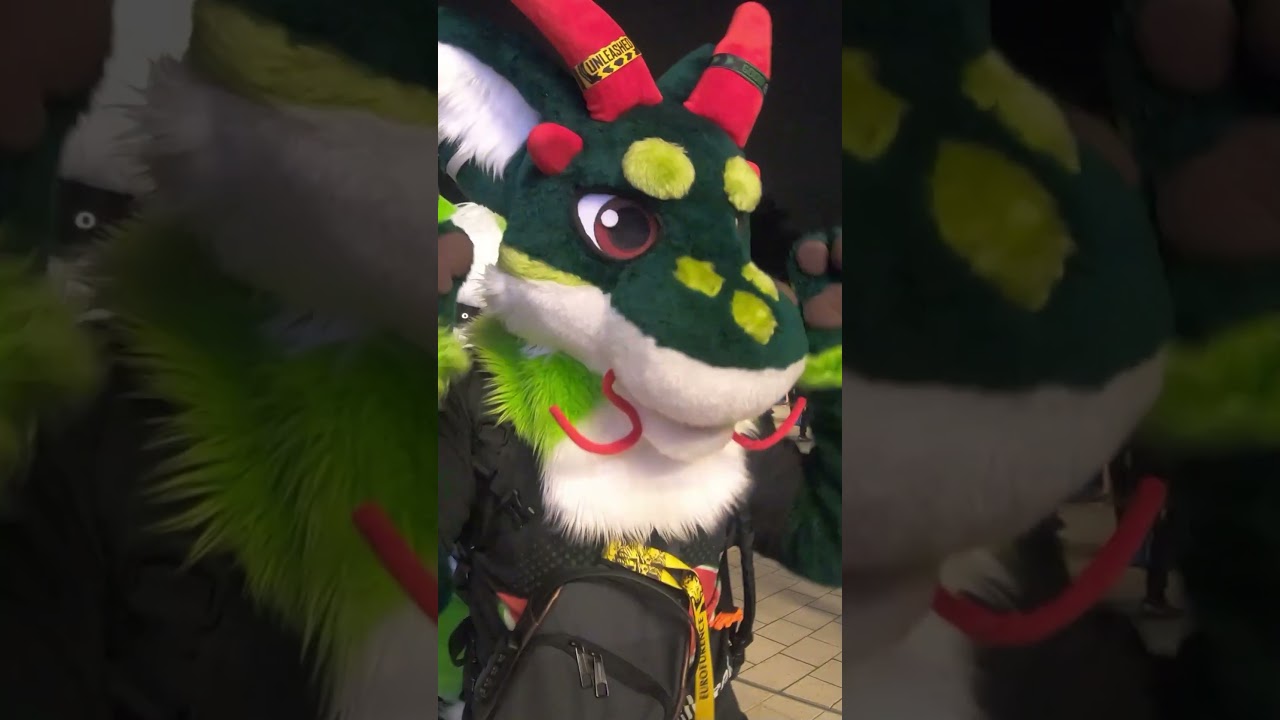 Панорама Гамбурга в сочетании с меховыми силуэтами &ndash; эпично! 🌇 #furry #fursuit #Eurofurence