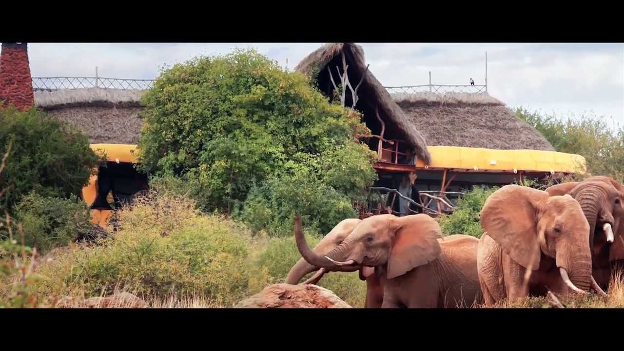 Satao Elerai Camp, the Beauty of Kenya