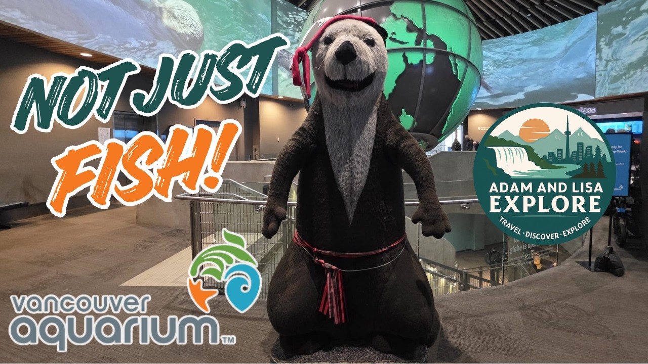 Vancouver Aquarium Tour | Exploring Canada’s Largest Aquarium in Stanley Park 🐠🌧