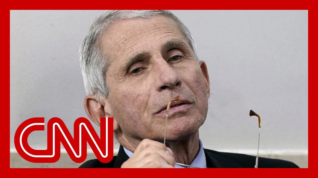 Author reveals her steamy romance novel was inspired by Dr. Fauci