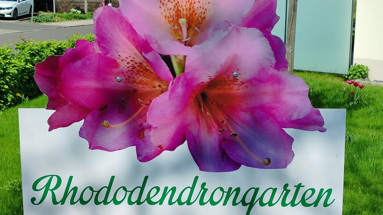 Rhododendron Garten in Bad Tabarz Thüringen