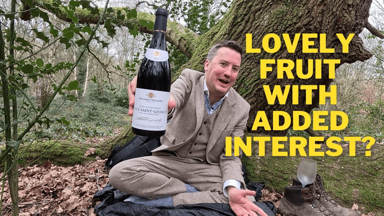 Bouchard Pere et Fils Nuits Saint Georges 2019