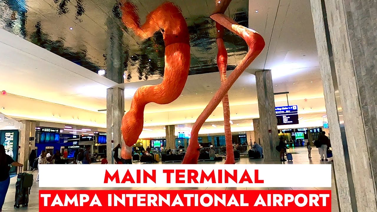 TPA ✈️ 🇺🇸 Main Terminal at Tampa International Airport by SkyConnect Train Tampa Bay, Florida