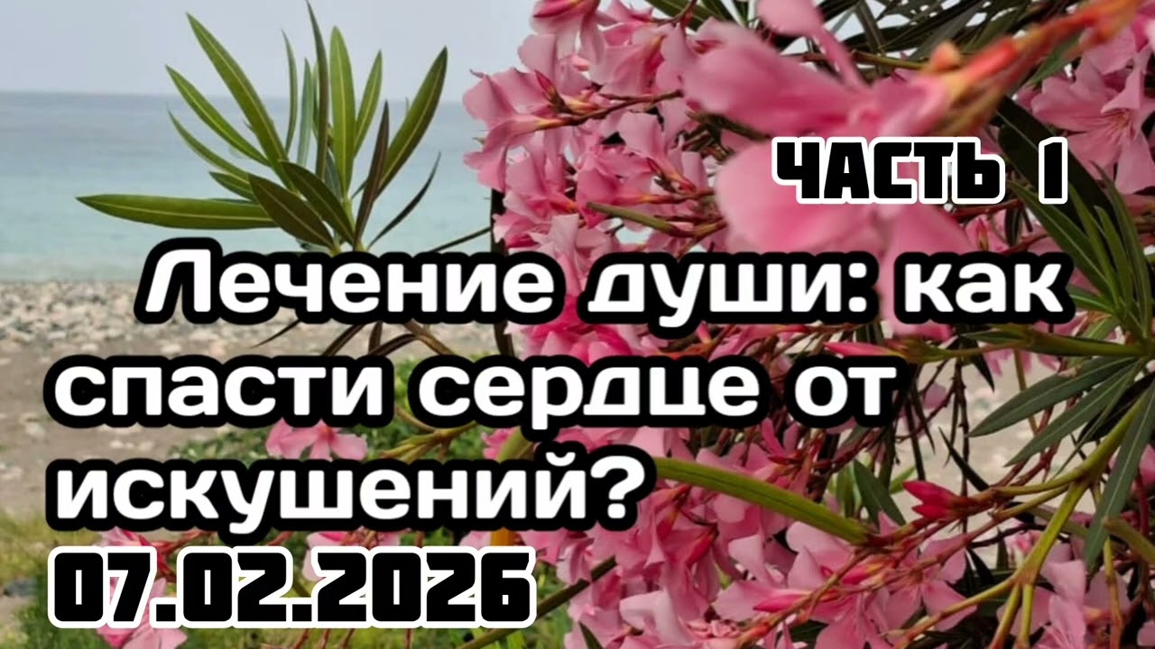 1. Лечение души: как спасти сердце от искушений? Шейх Абдурраззак ибн Абдульмухсин Аль-Бадр.