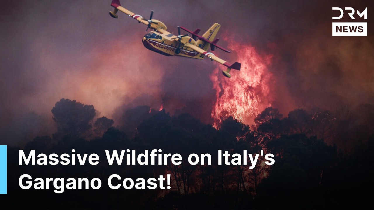 Aerial Footage Shows Massive Wildfire on Italy's Gargano Coast | Hundreds Evacuated | AL1Z