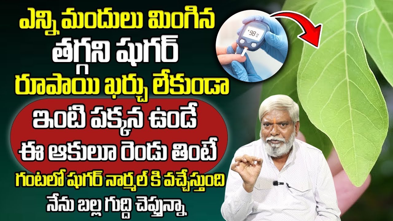 ఈ ఆకులు 2 తింటే దెబ్బకు షుగర్ నార్మల్ కి వచ్చేస్తుంది.. | Custard Apple Leaves | Dr Pandit Srinivas