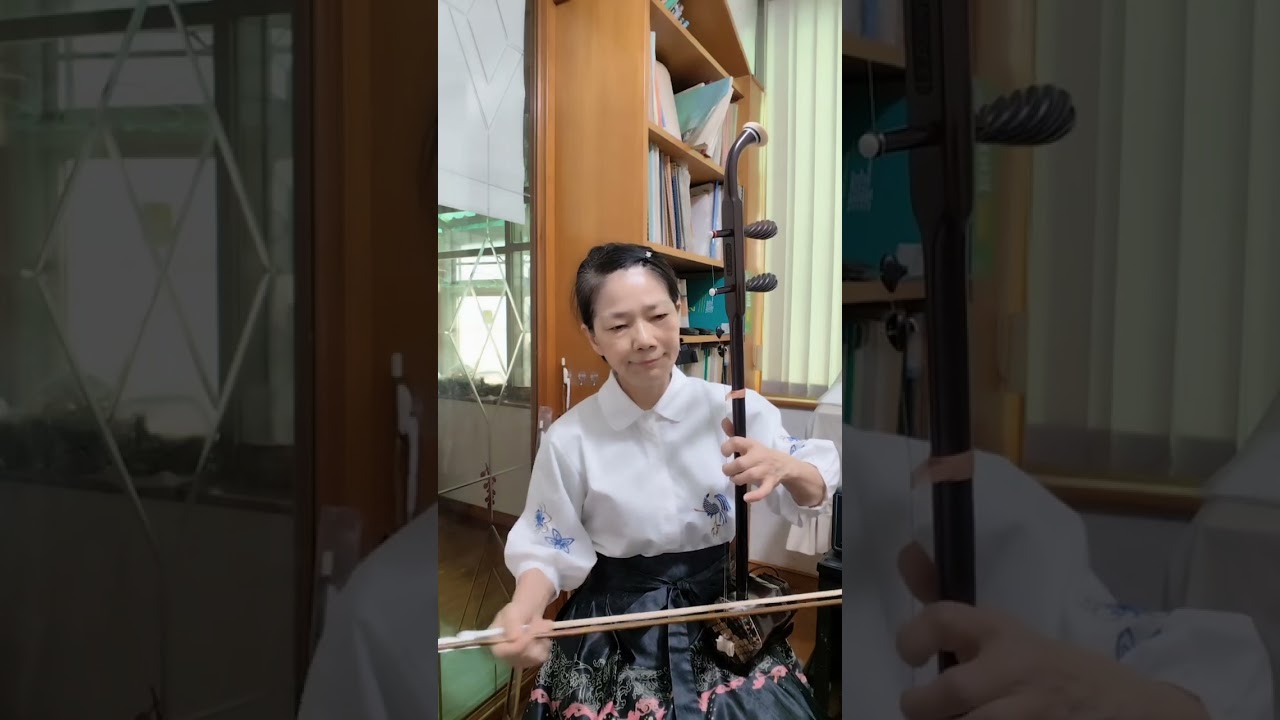 瀟灑走一回/第二季逸軒二胡
