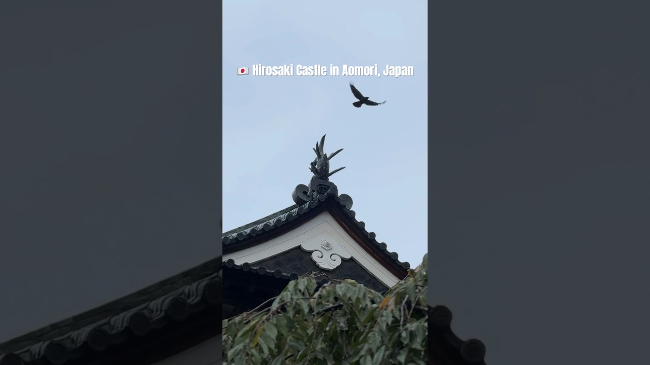 Must-Visit Places in Japan Before You Die: Hirosaki Castle, Aomori Prefecture