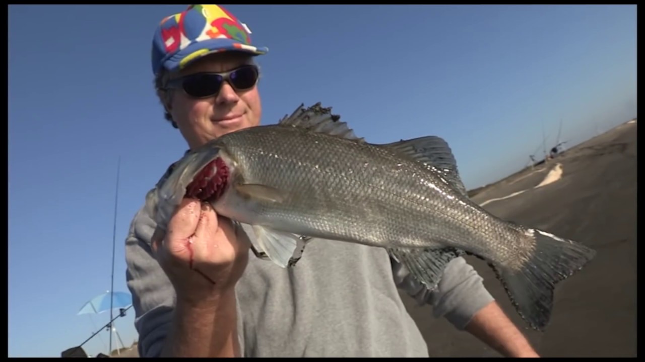 Le sorprese del surf casting.