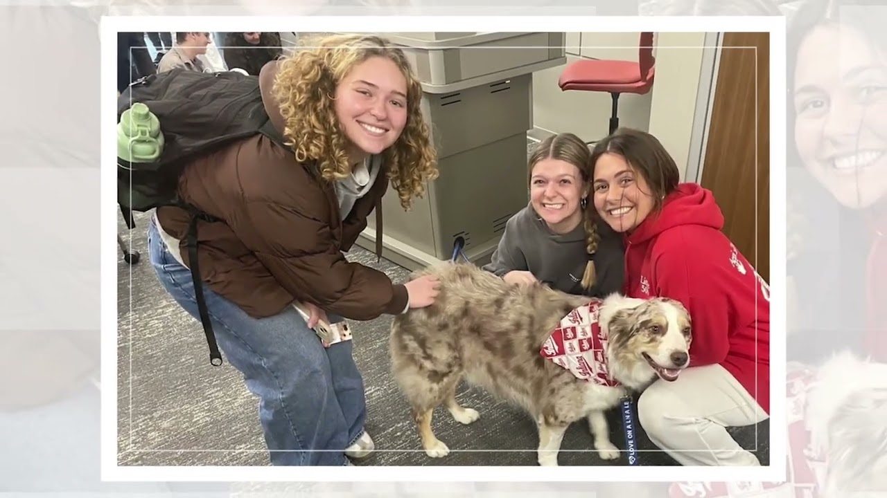 Bloomington Campus:  Life Outside the Classroom
