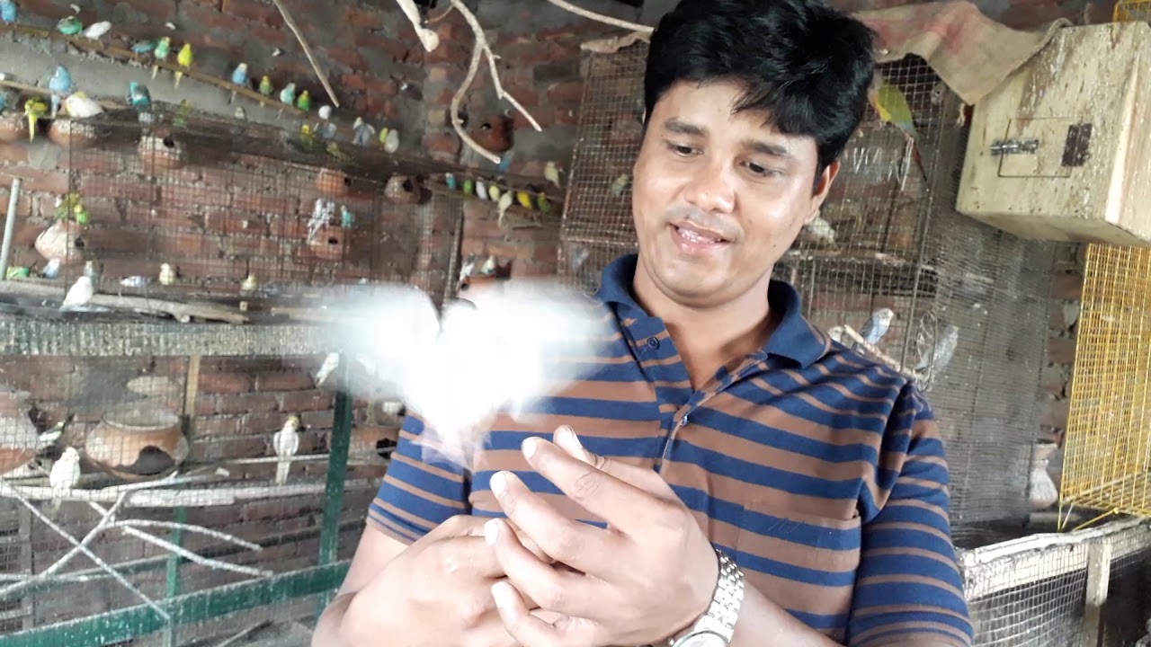 My Friend's setup visit in 2nd time & GCC Conour Progress