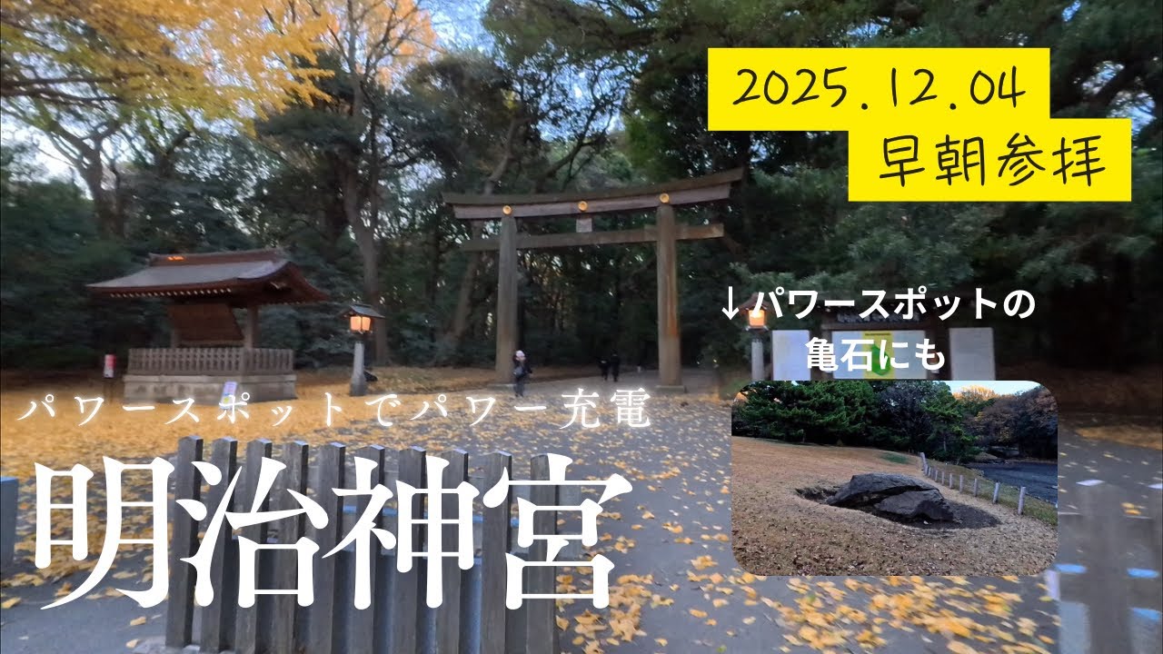明治神宮 : 12/4早朝参拝🚶Meiji Jingu #26