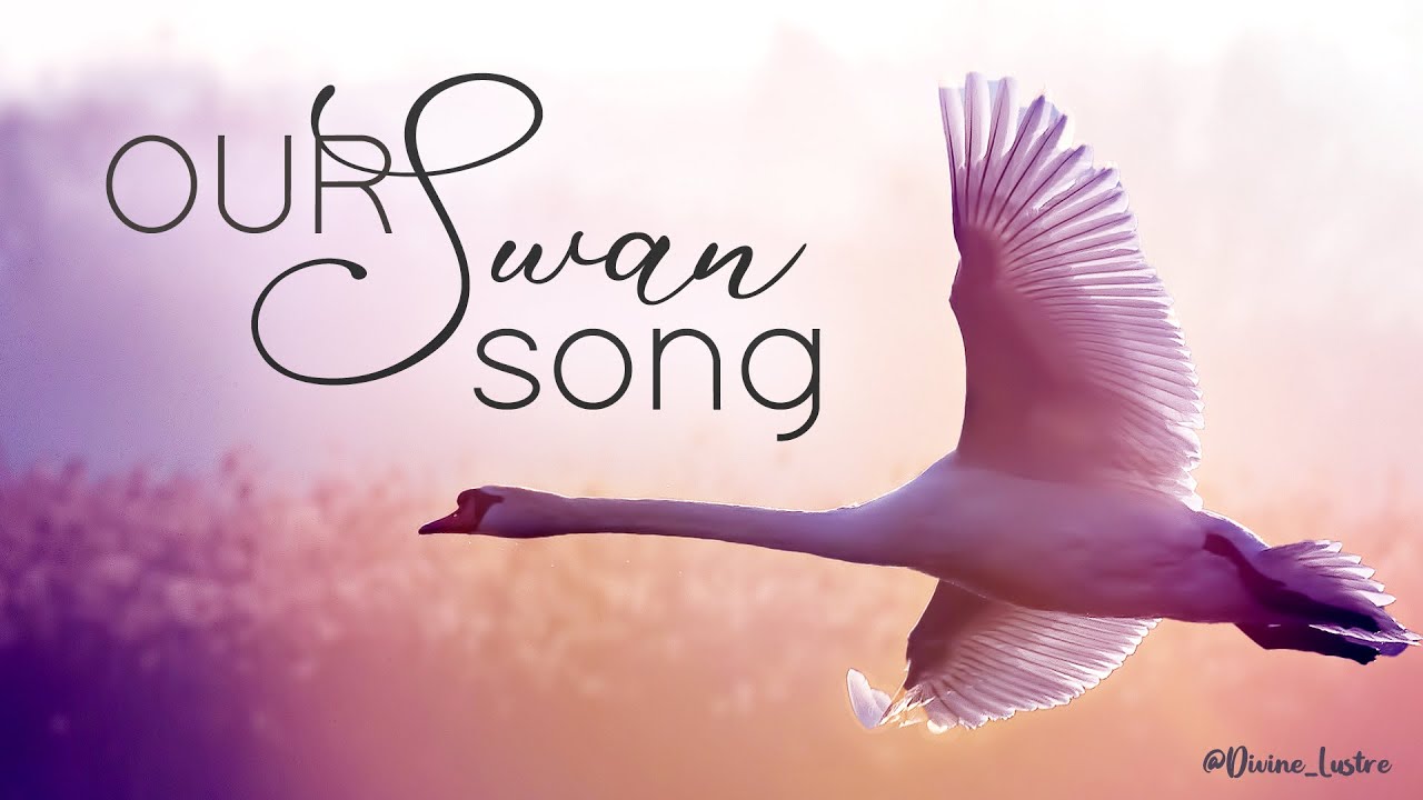 Podcast Episode 20 - Our Swan Song
