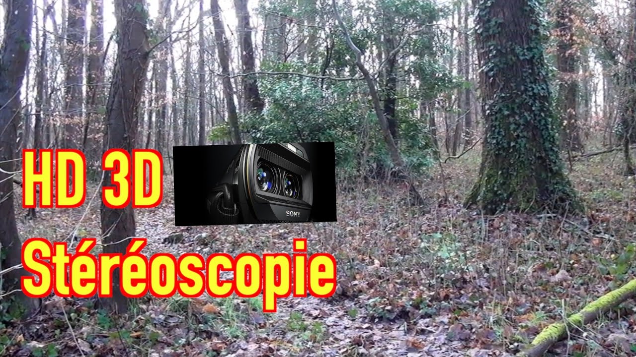 HD 3D  - ALLONNES Promenade matinale   31 janvier 2026