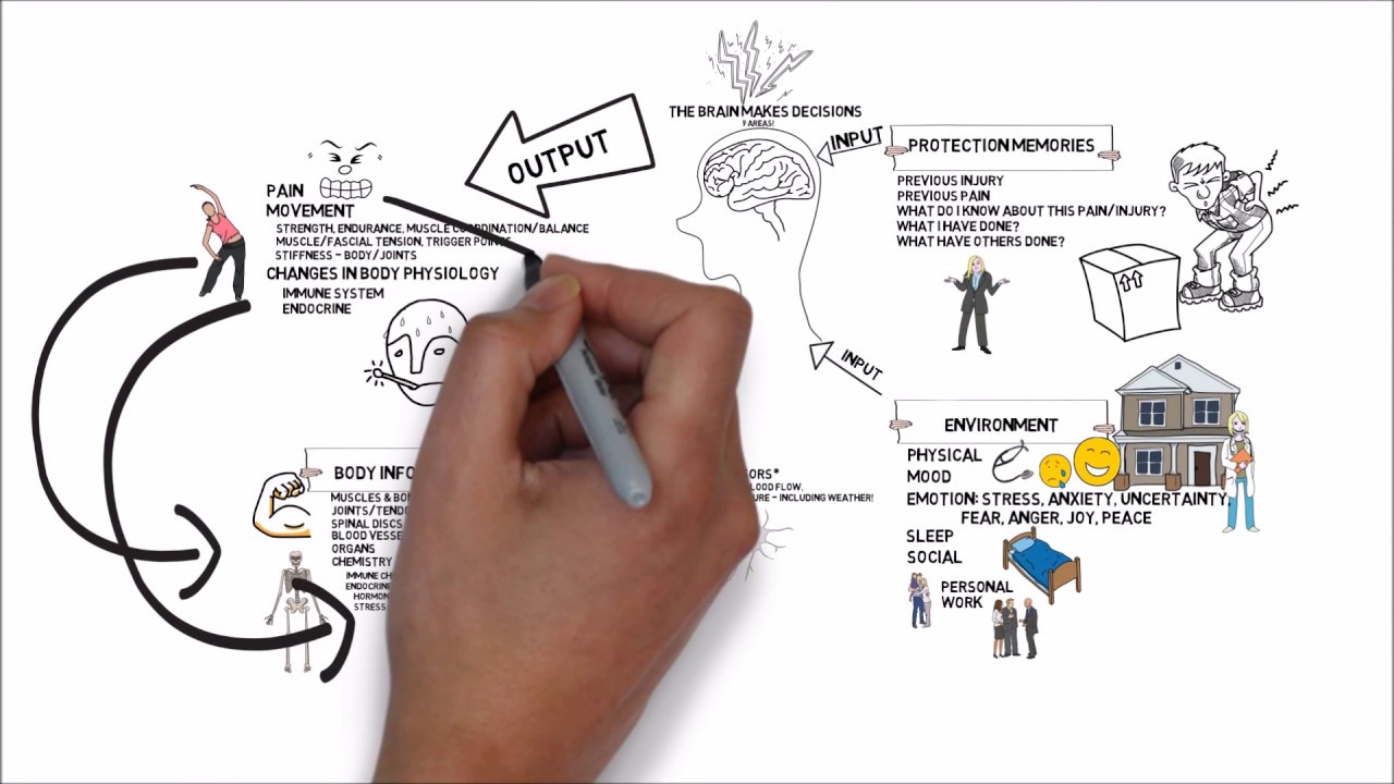 Understanding the Complexity of Pain