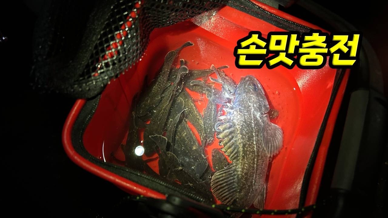 수온이 올라가고있다! 시화방조제 비린내 체크