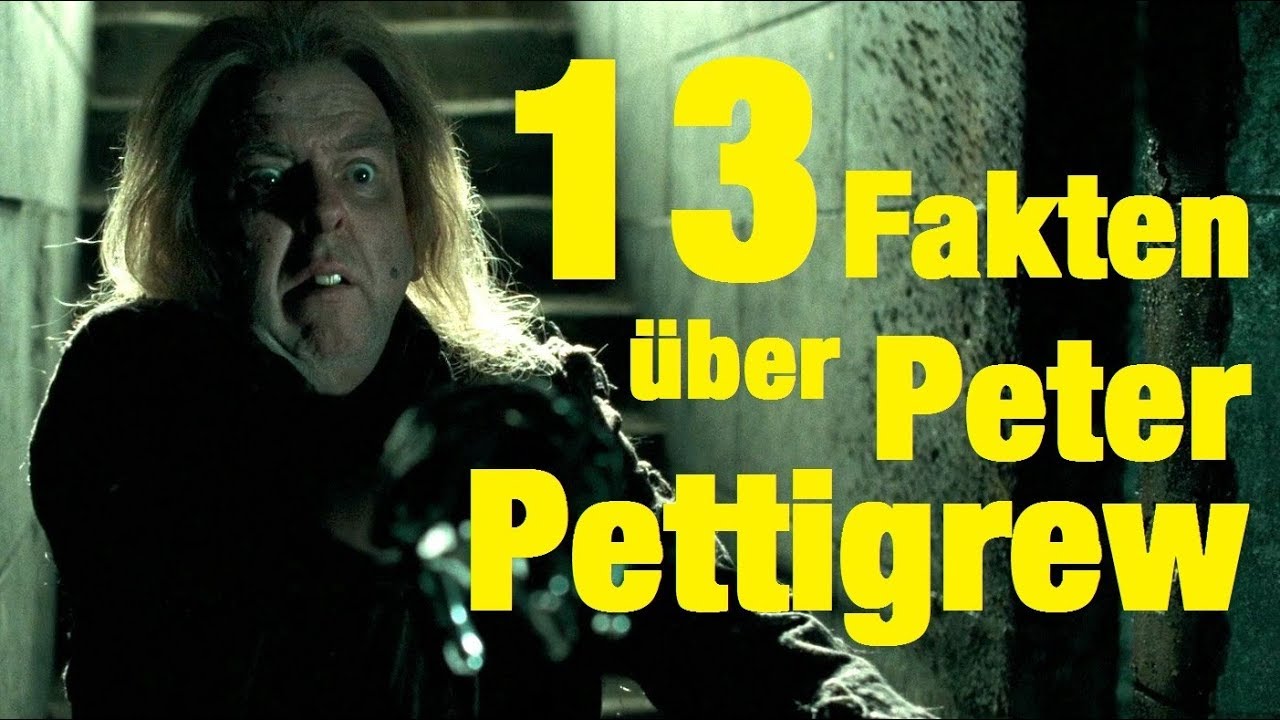 13 FAKTEN über Peter PETTIGREW