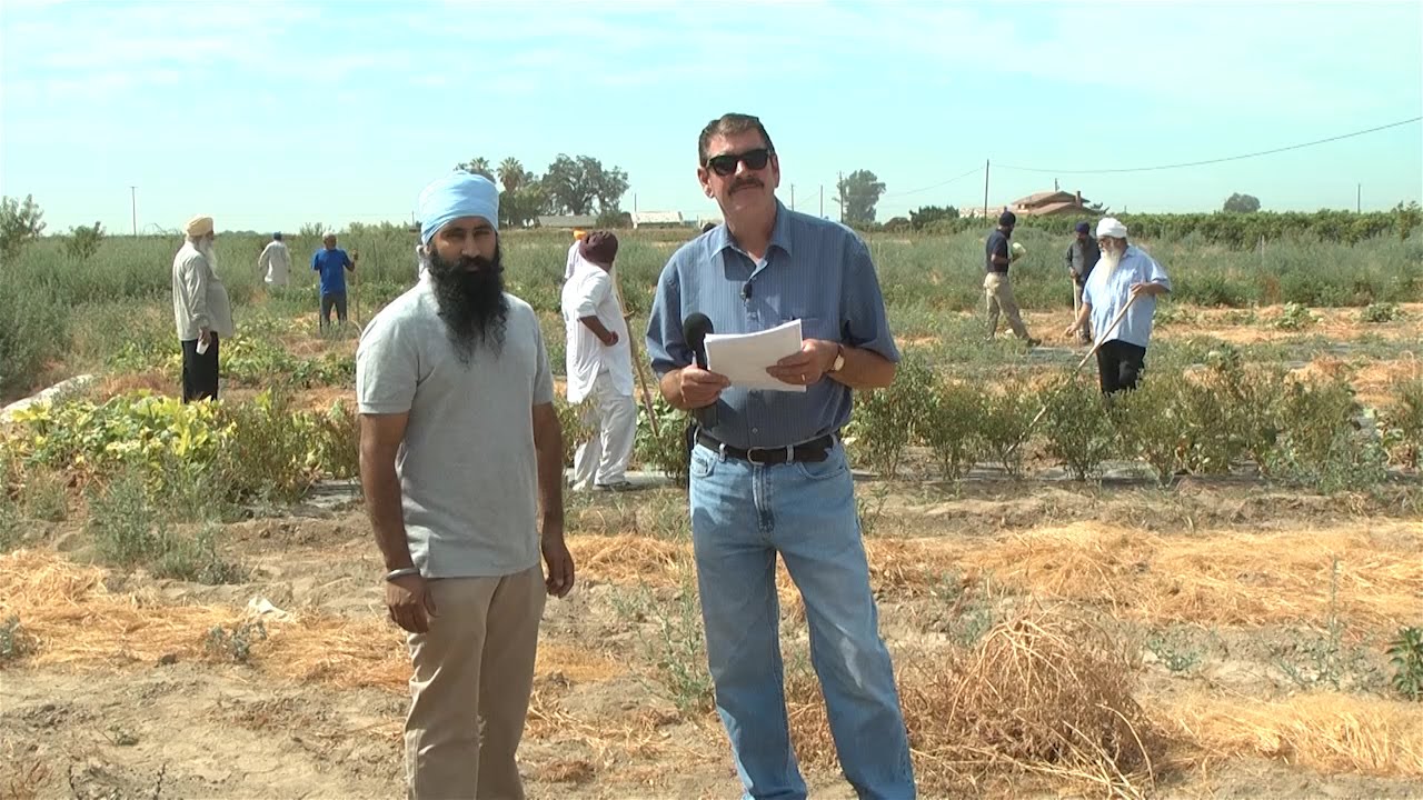 Horticulture Therapeutic Community Centers Therapy Gardens - Sikhs 9-6-2014