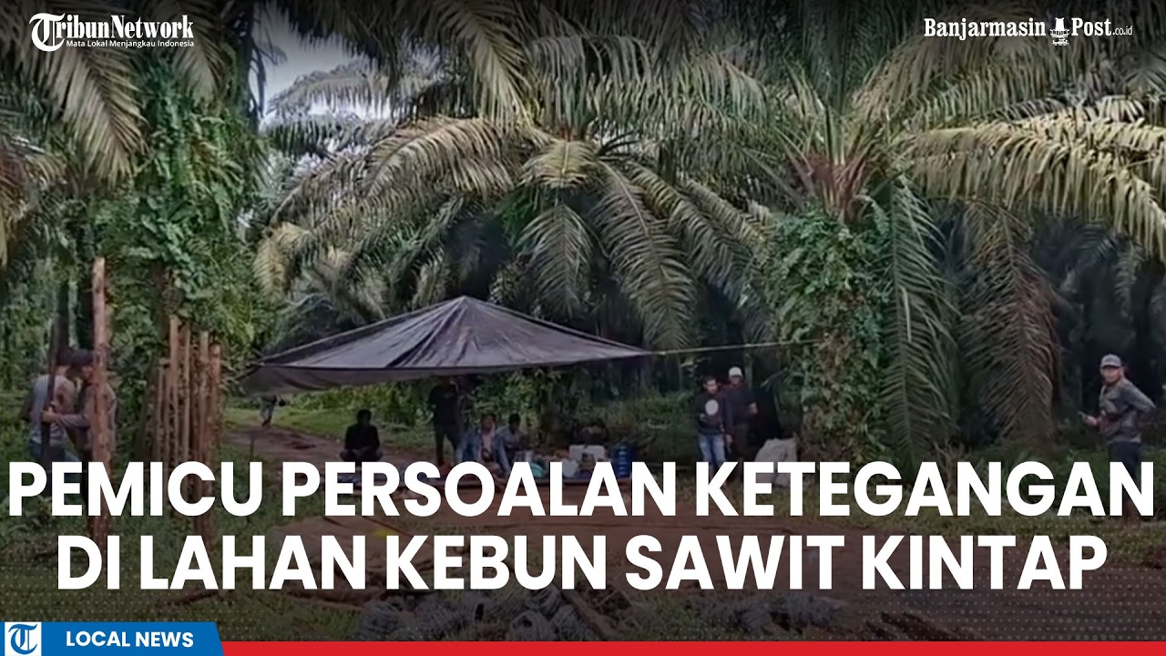 Alasan Persoalan Ketegangan di Lahan Sengketa Kebun Sawit Kintap Tala Kalsel, Polisi Turun Tangan
