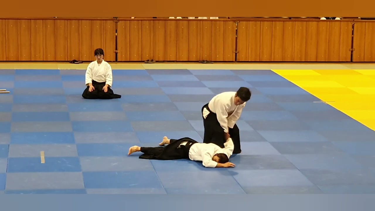 Ueshiba Mitsuteru Hombu Dojo Cho, Embukai Trnava 2024