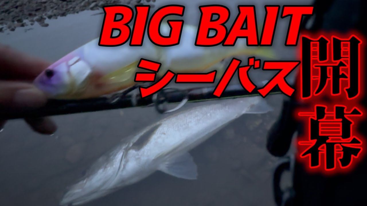 【ランカーシーバス】やっぱりビッグベイトに頼ってしまうほど釣れる！ダウズスイマーは強い！！