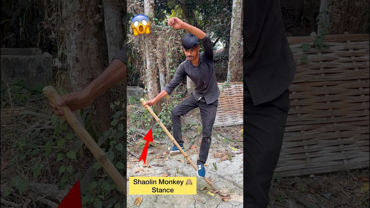 Learning the Shaolin Monkey Stance🐒 #shorts #challenge