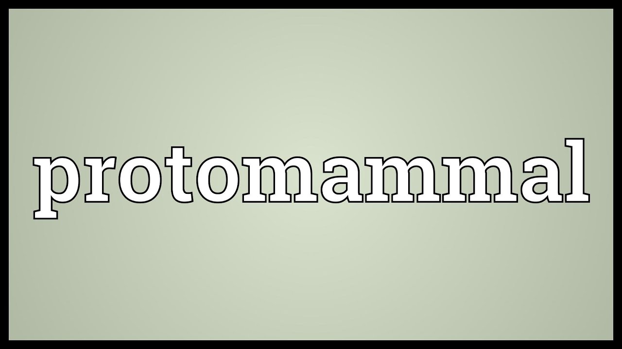 Protomammal Meaning