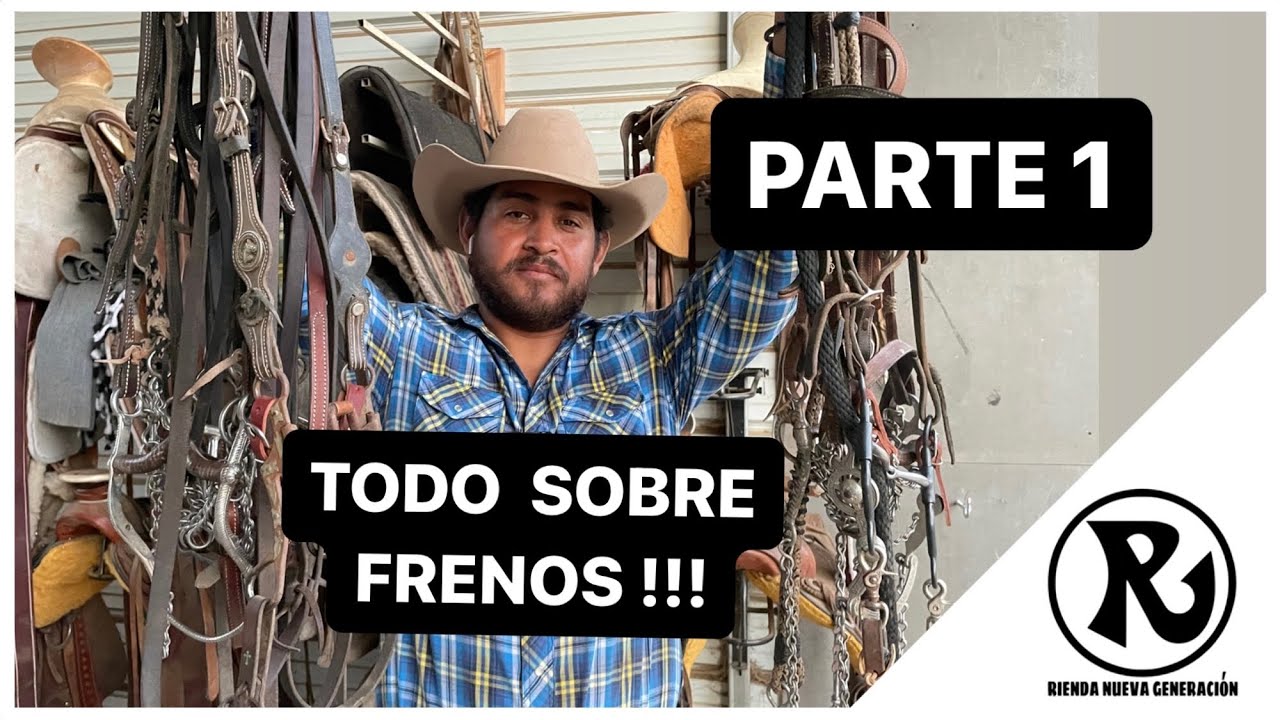 Todo Lo Que Necesitas Saber Sobre Frenos y Como Usarlos PARTE 1 : Snaffle