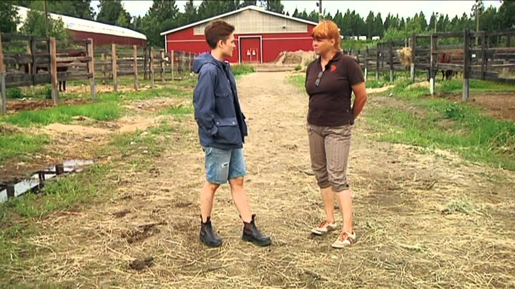 Ystäväni hevonen, osa 4: Ratsastuskoulu