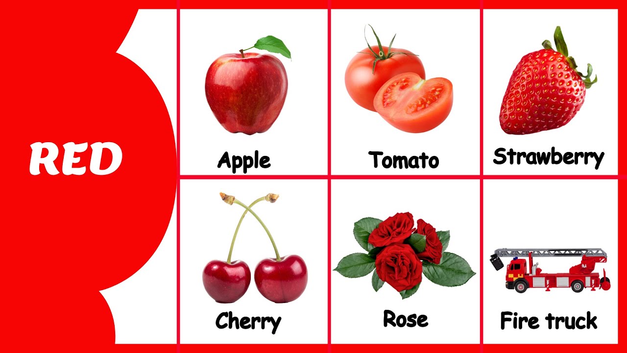 Color Flashcards For Toddlers Learning Video for Babies and Toddlers