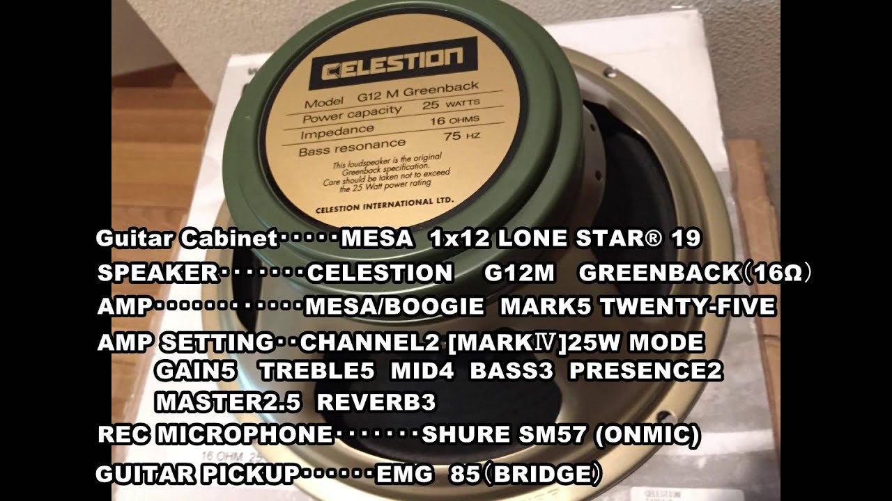 CELESTION Greenback(G12M) VS Black shadow (Overdrive tone)
