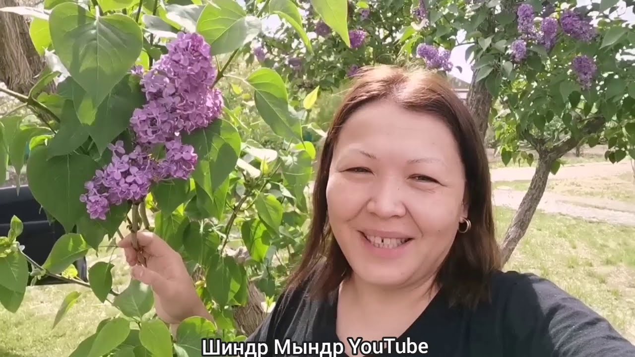 А У НАС ГОСТЬ. УТКА!!!! Все было так хорошо .....
