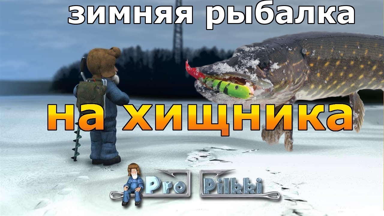ЗИМНЯЯ РЫБАЛКА НА ХИЩНИКА - Pro Pilkki 2