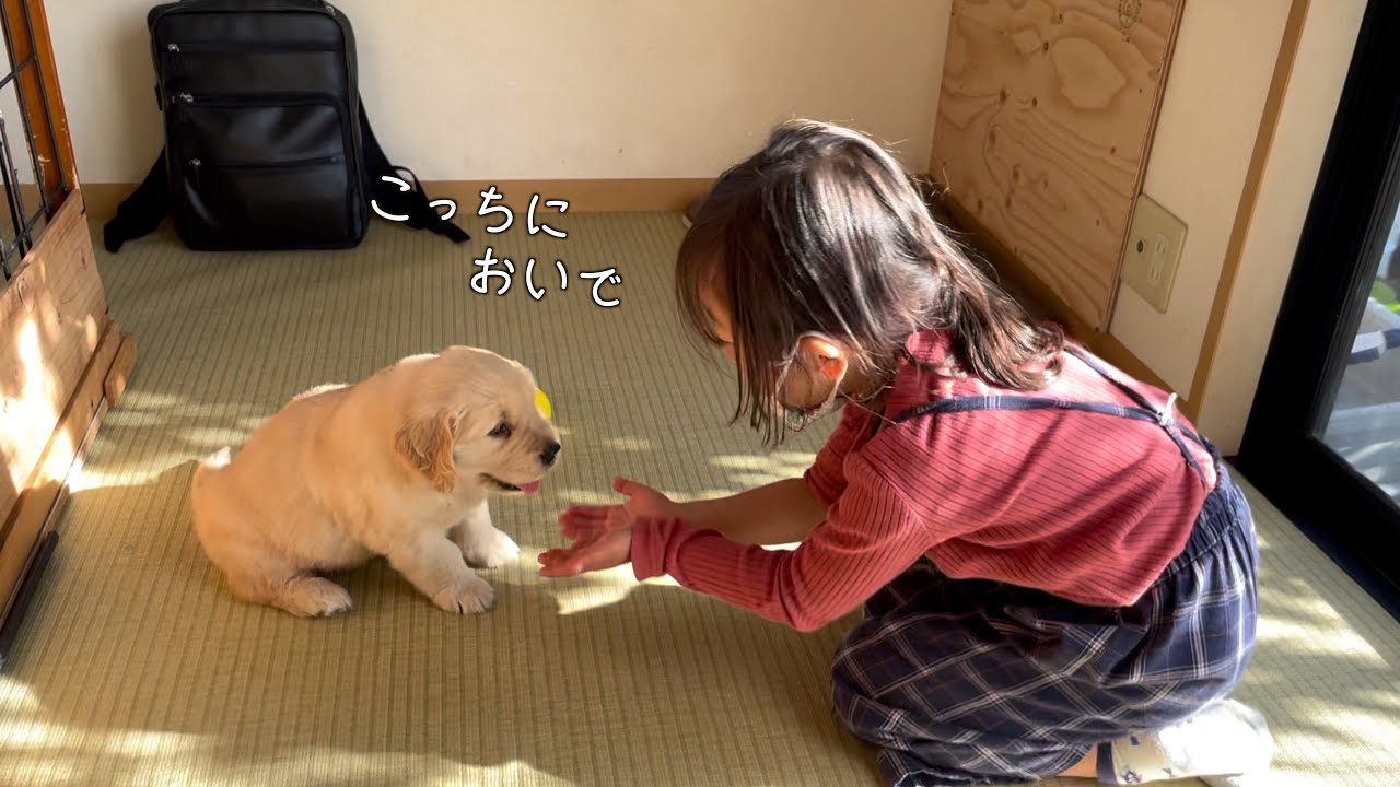 きっとこの出会いが5歳だった娘に母性を目覚めさせたんだ