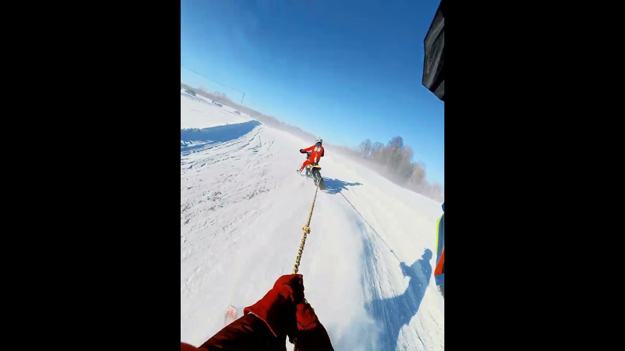 Edgars Silins & Valts Valainis 86 Kazdanga Skijoring Race 1 2026