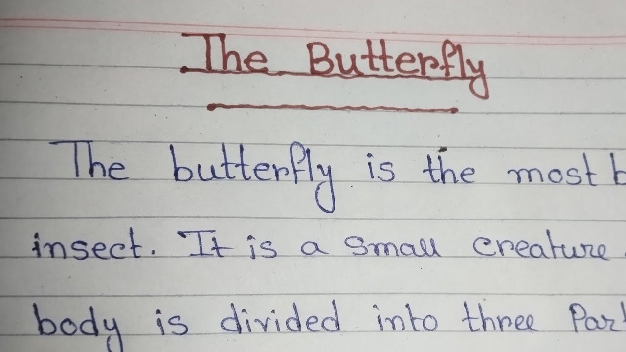 The butterfly//English paragraph.