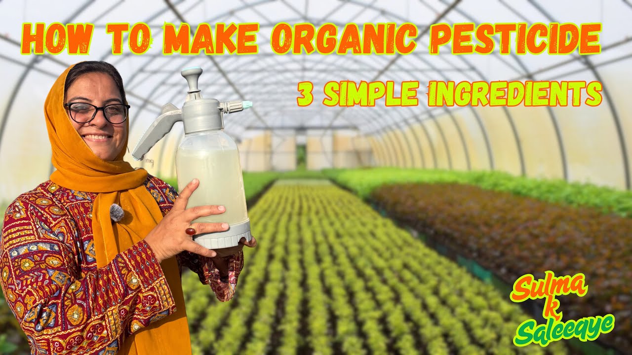 Make Organic Pesticide At Home