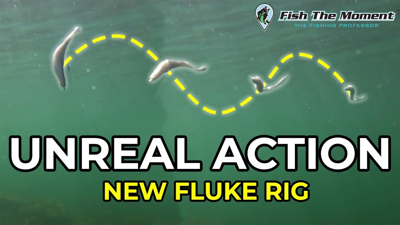 This Hook Turns Any Fluke Into a Chatterbait!